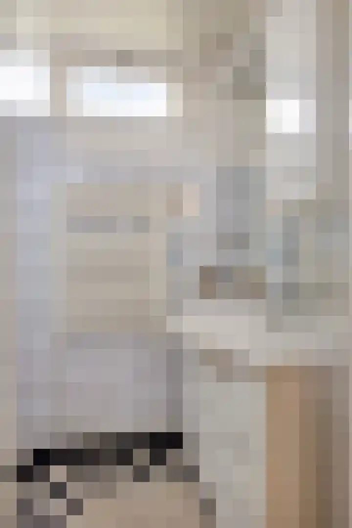 Zeelandiastraat 1 Sas van Gent thumbnail 12