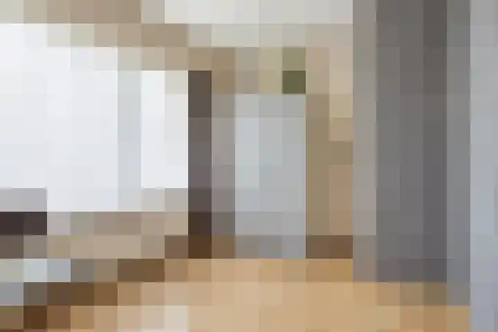 Zeelandiastraat 1 Sas van Gent thumbnail 14
