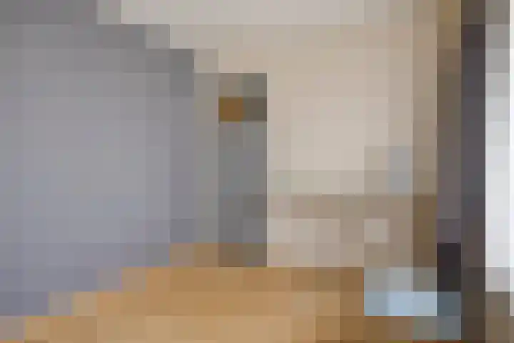 Zeelandiastraat 1 Sas van Gent thumbnail 15