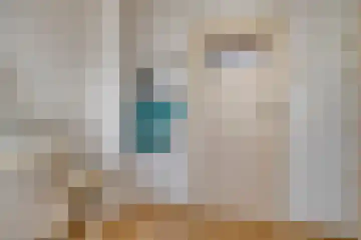Zeelandiastraat 1 Sas van Gent thumbnail 17