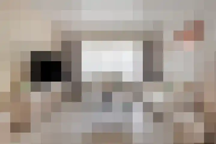 Zeelandiastraat 1 Sas van Gent thumbnail 20