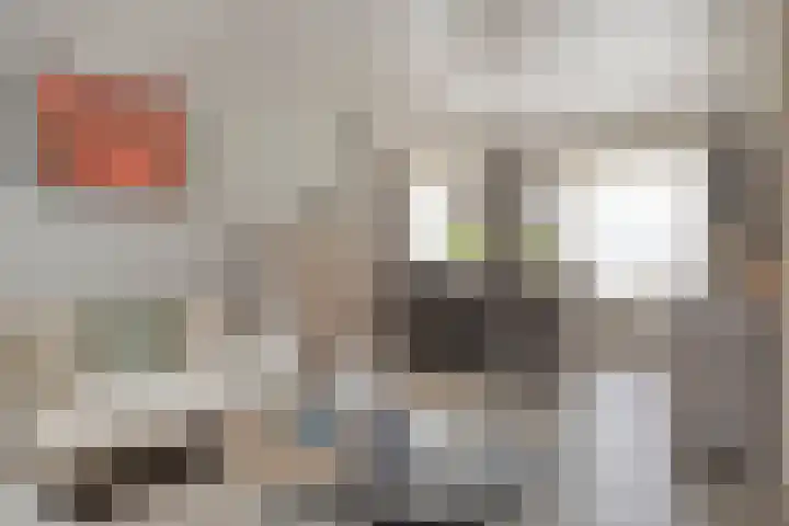 Zeelandiastraat 1 Sas van Gent thumbnail 21