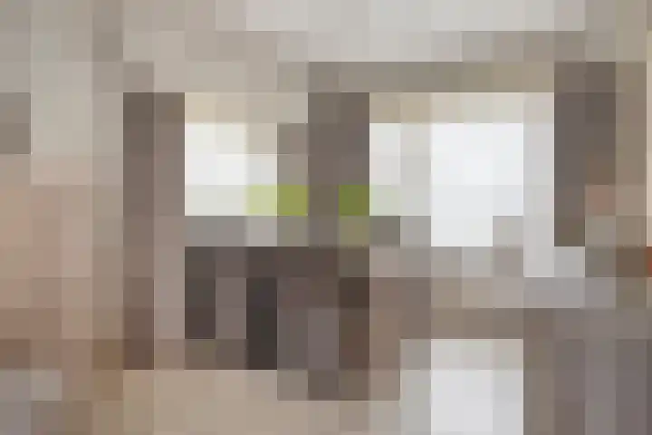 Zeelandiastraat 1 Sas van Gent thumbnail 22