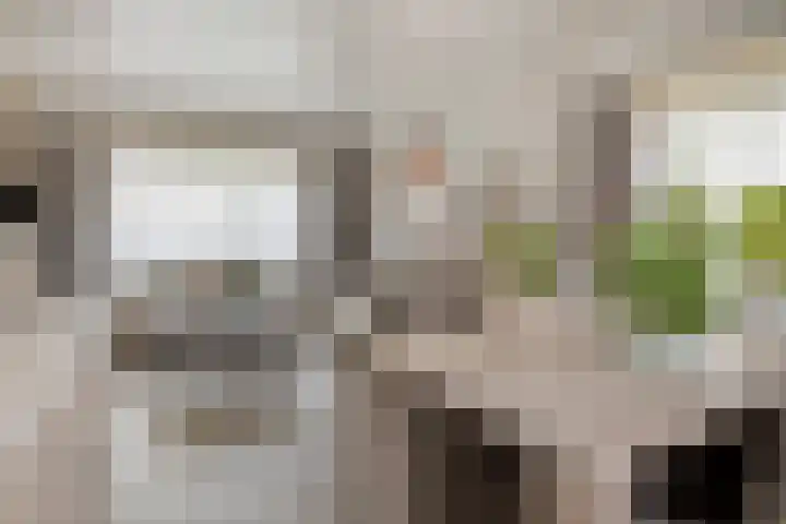 Zeelandiastraat 1 Sas van Gent thumbnail 24