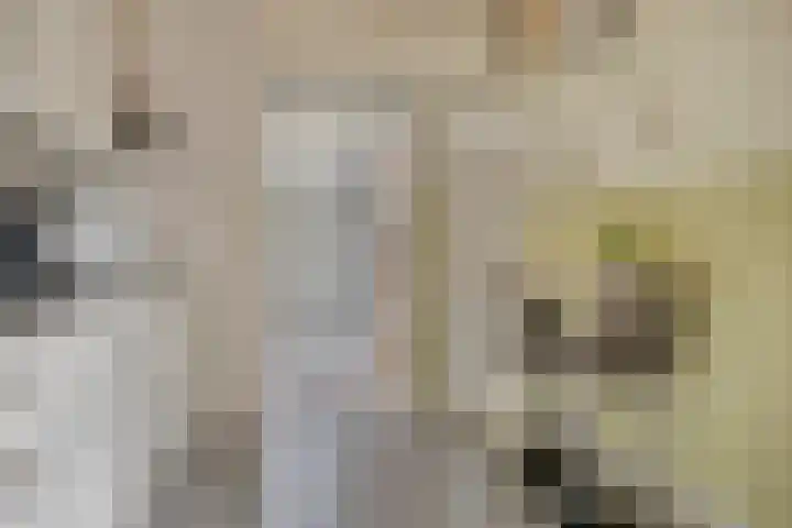 Zeelandiastraat 1 Sas van Gent thumbnail 27
