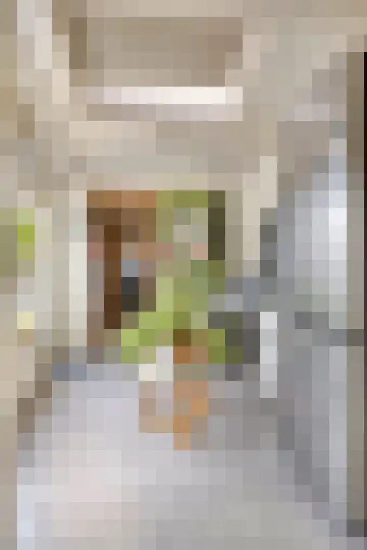 Zeelandiastraat 1 Sas van Gent thumbnail 28