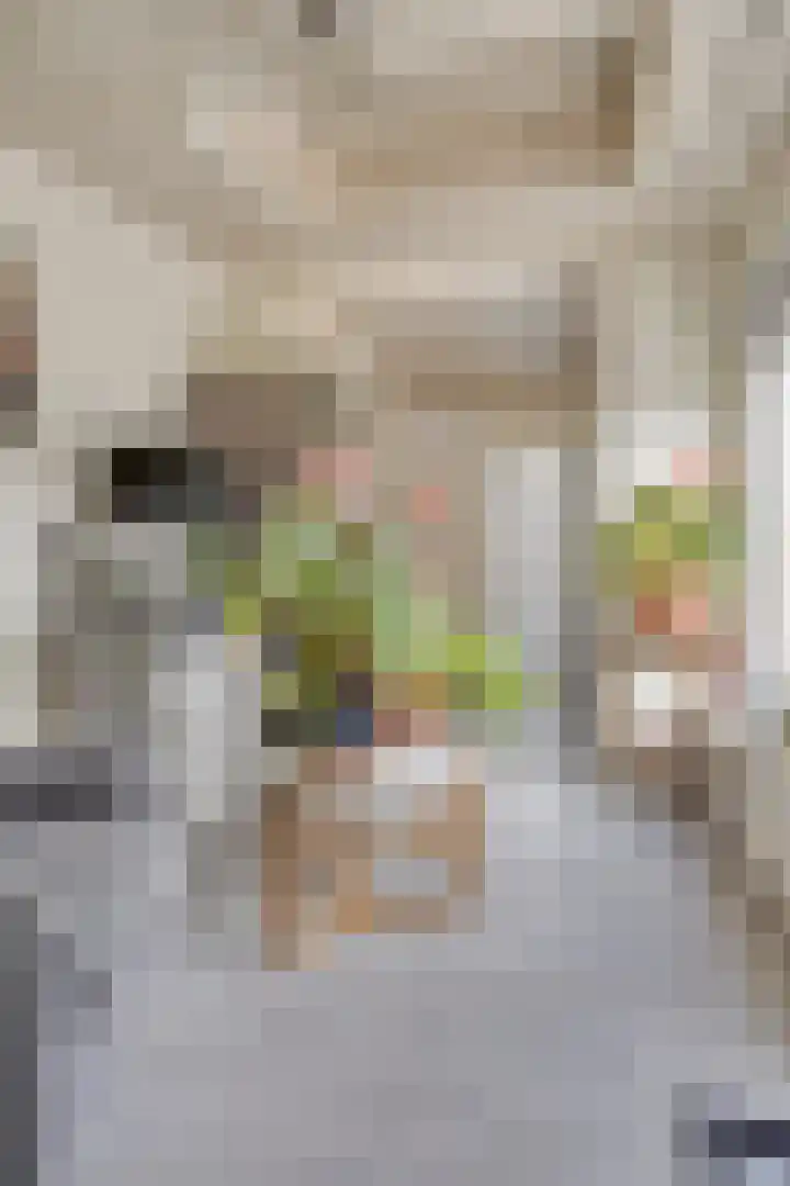 Zeelandiastraat 1 Sas van Gent thumbnail 29