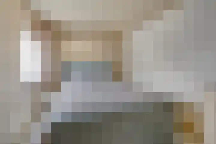 Zeelandiastraat 1 Sas van Gent thumbnail 32