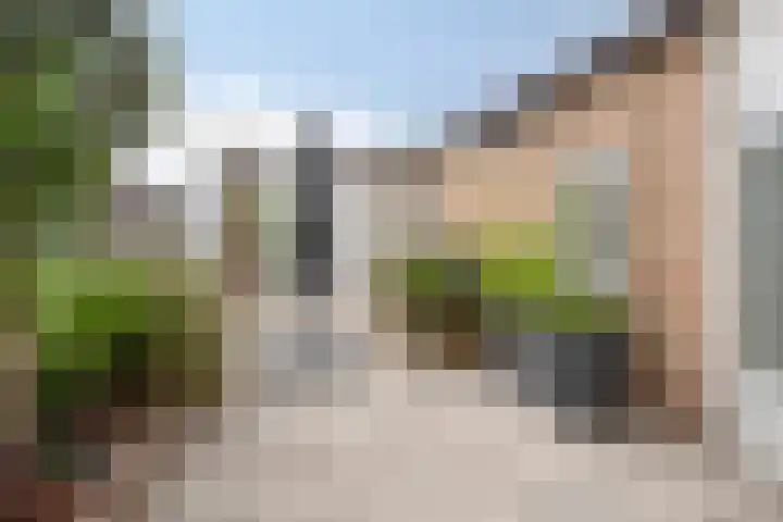 Zeelandiastraat 1 Sas van Gent thumbnail 33