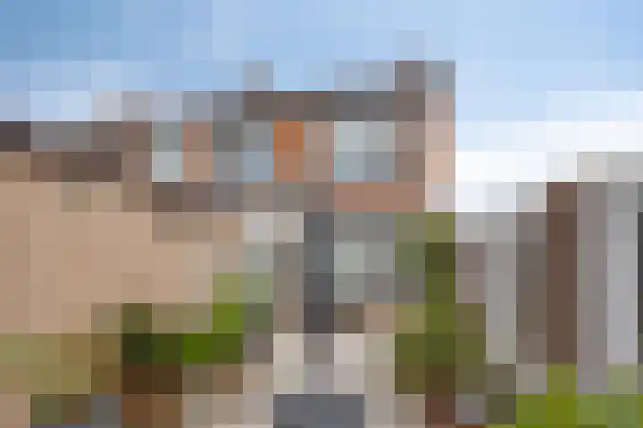 Zeelandiastraat 1 Sas van Gent thumbnail 34