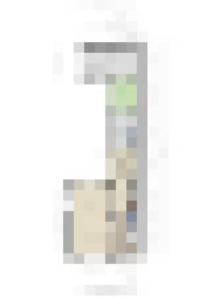 Zeelandiastraat 1 Sas van Gent thumbnail 36