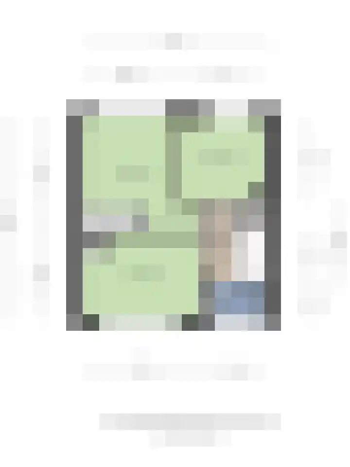 Zeelandiastraat 1 Sas van Gent thumbnail 37