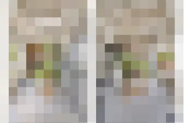 Zeelandiastraat 1 Sas van Gent thumbnail 5