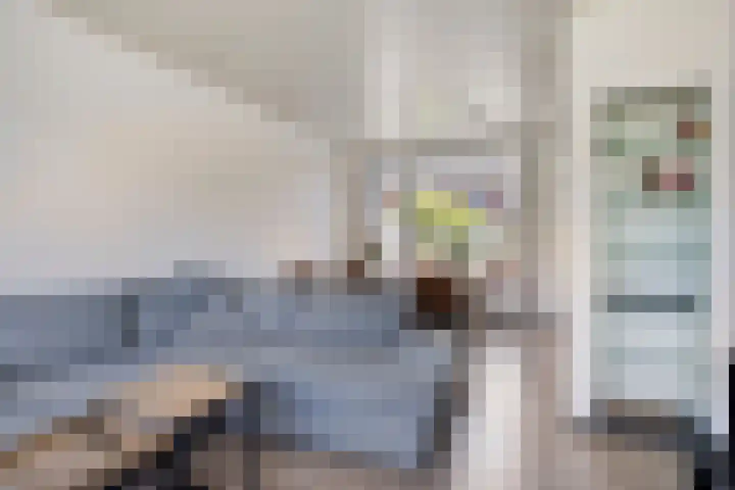 Zeelandiastraat 8 Sas van Gent thumbnail 12