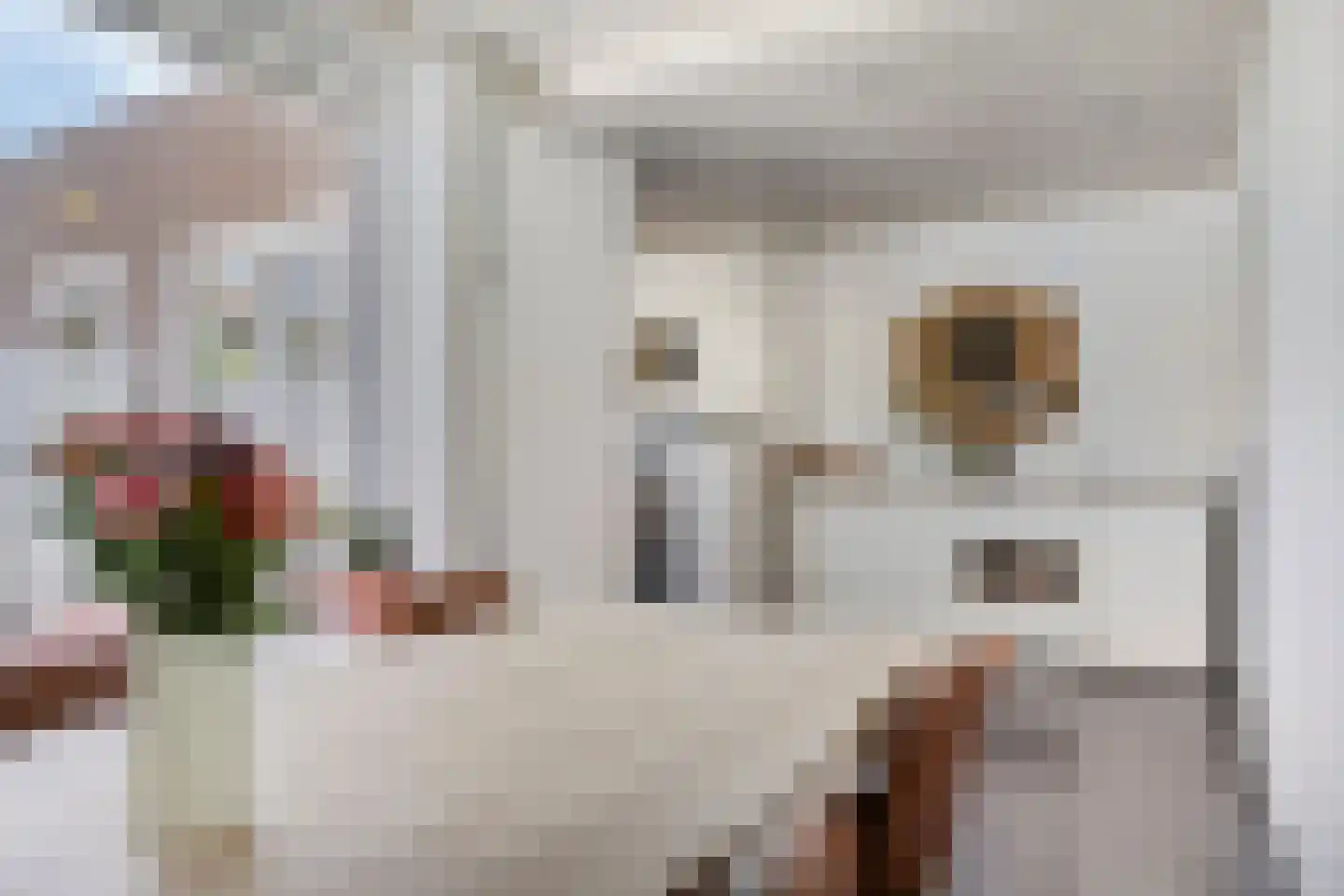 Zeelandiastraat 8 Sas van Gent thumbnail 15