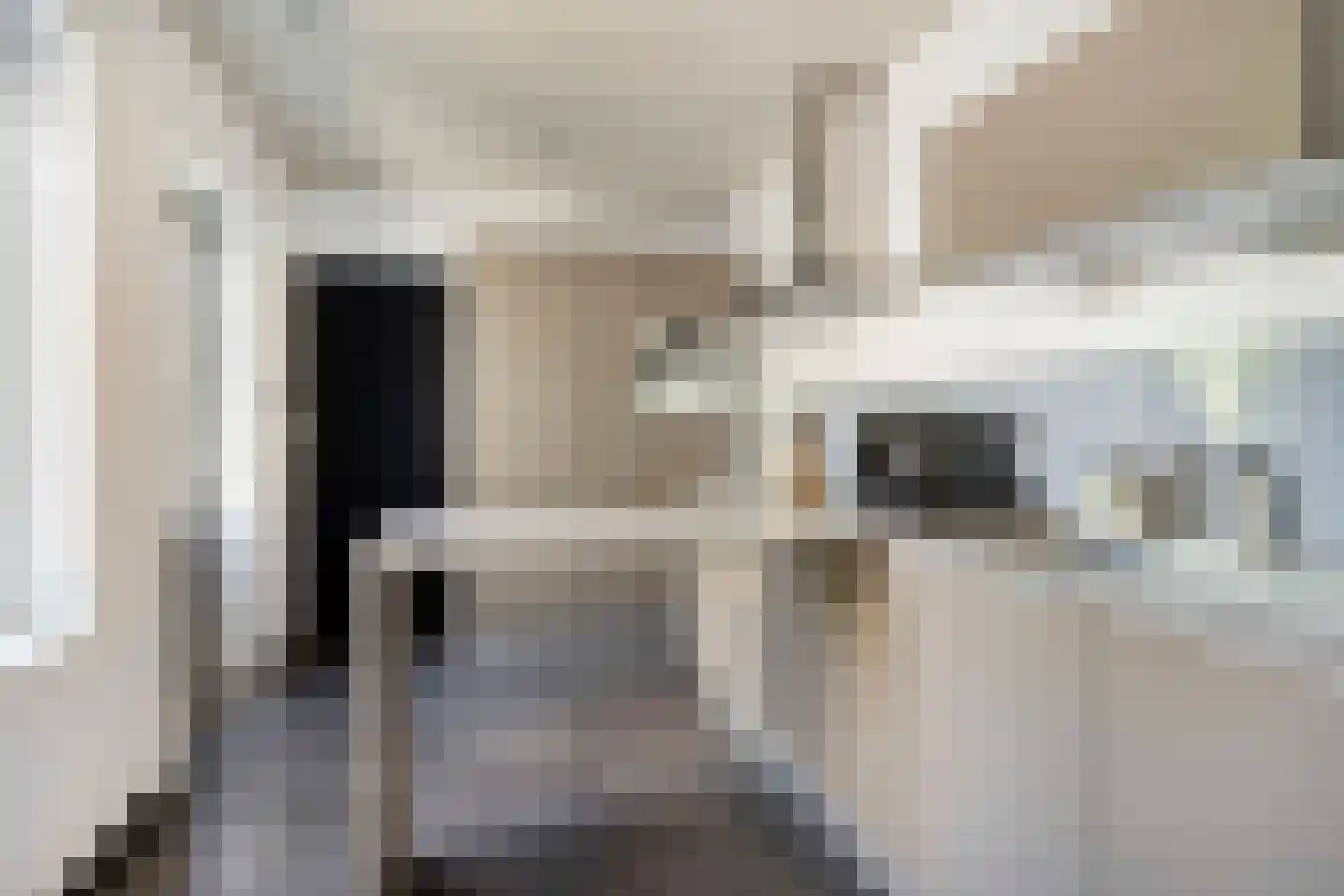 Zeelandiastraat 8 Sas van Gent thumbnail 16