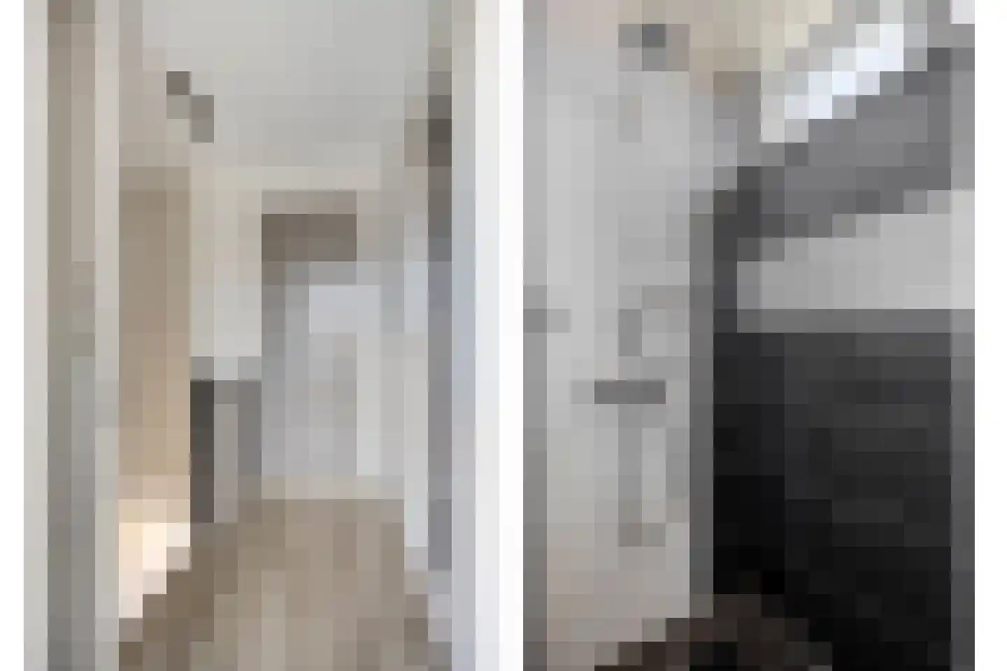 Zeelandiastraat 8 Sas van Gent thumbnail 20