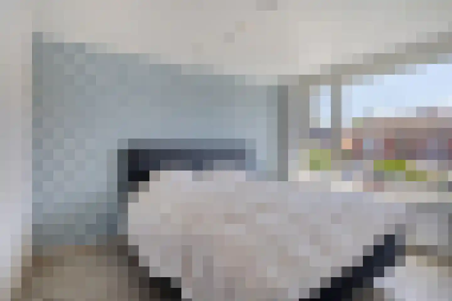 Zeelandiastraat 8 Sas van Gent thumbnail 21