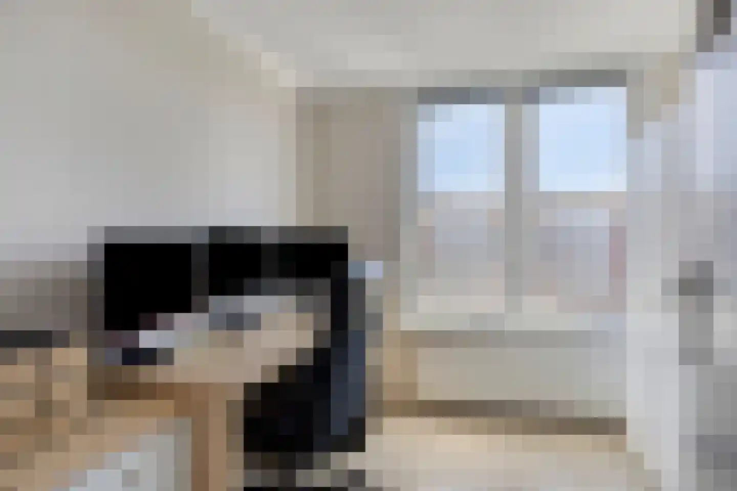 Zeelandiastraat 8 Sas van Gent thumbnail 26