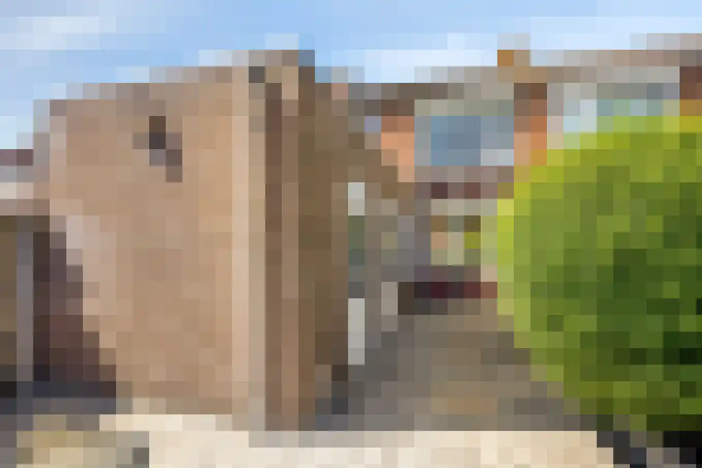 Zeelandiastraat 8 Sas van Gent thumbnail 28