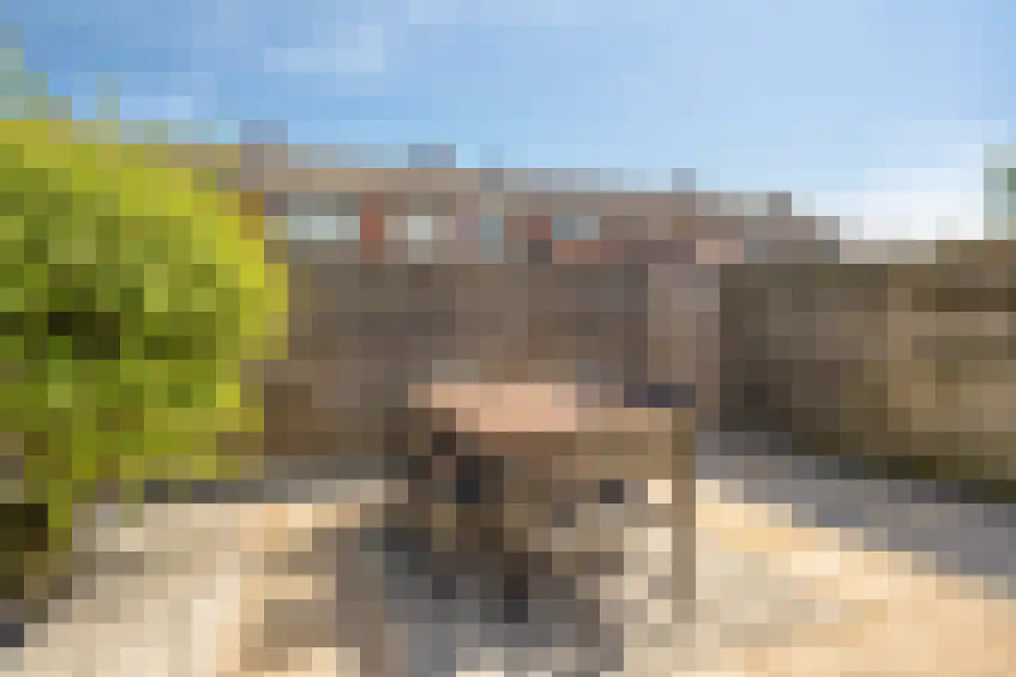 Zeelandiastraat 8 Sas van Gent thumbnail 29