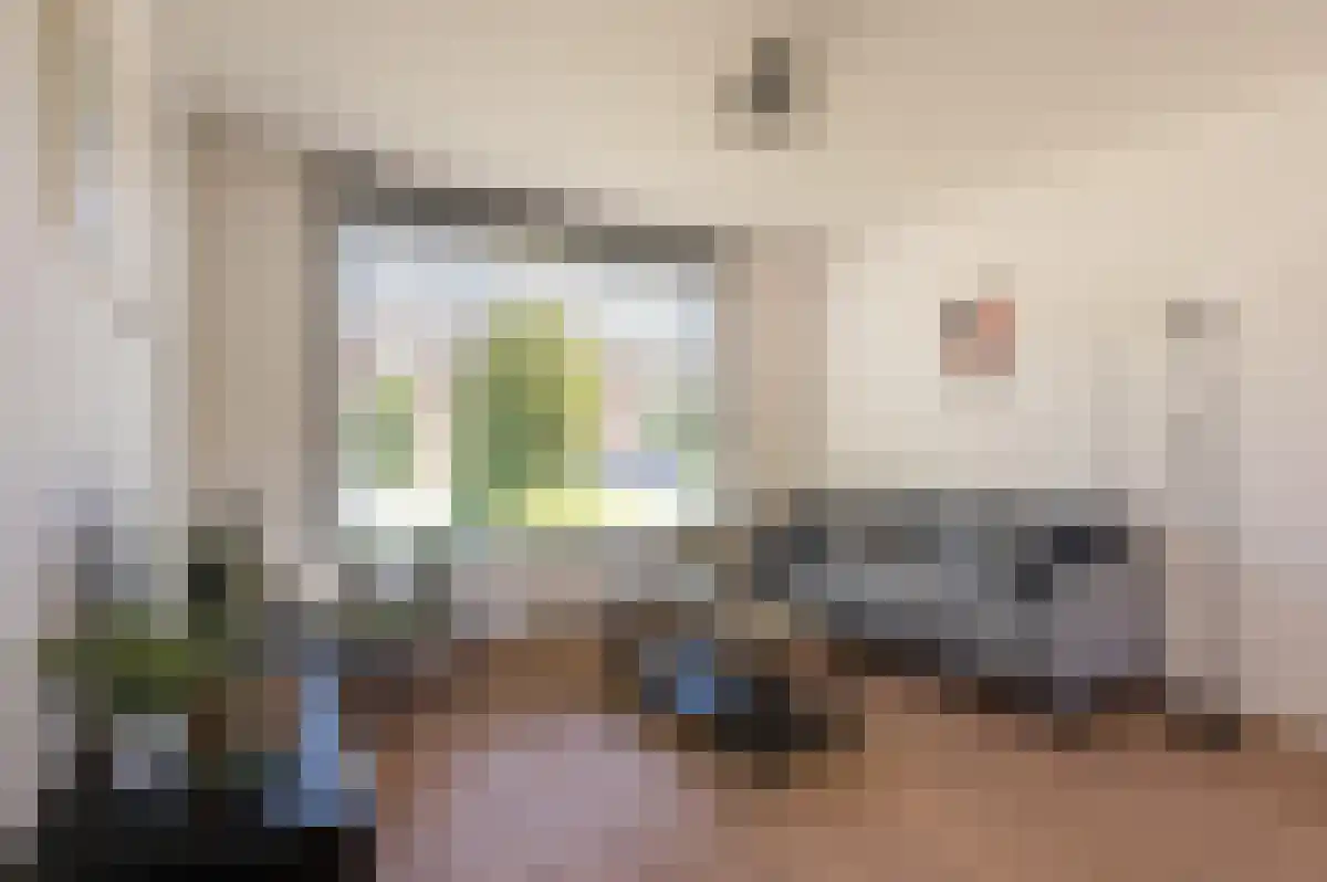 Zeelandiastraat 9 Sas van Gent thumbnail 4