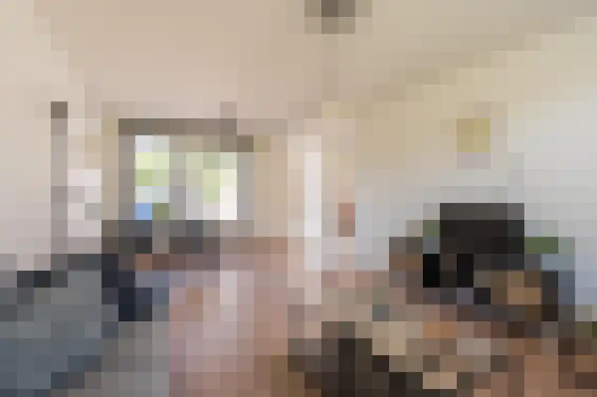 Zeelandiastraat 9 Sas van Gent thumbnail 5