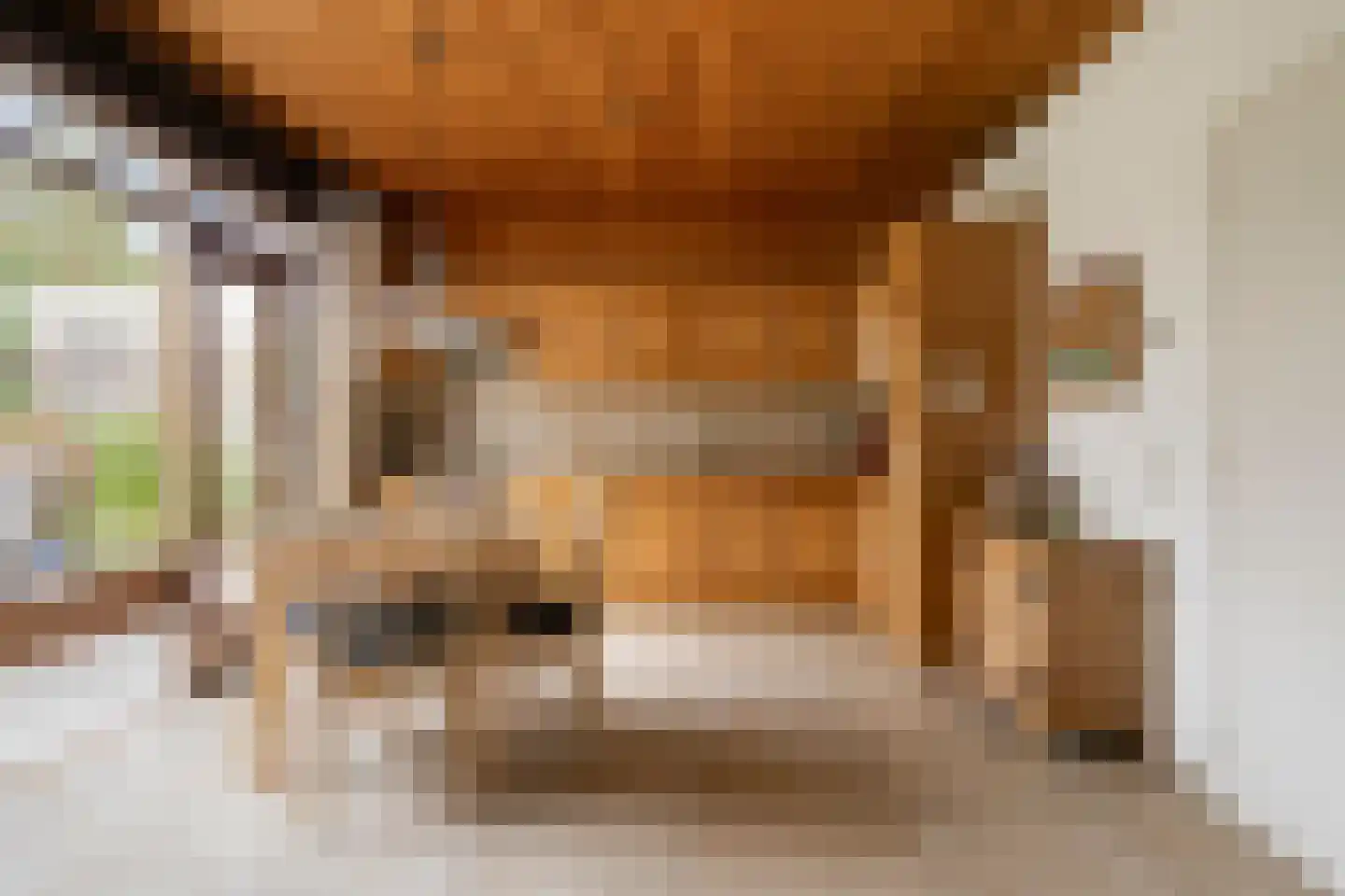 Zeelandlaan 15 Son en Breugel thumbnail 13