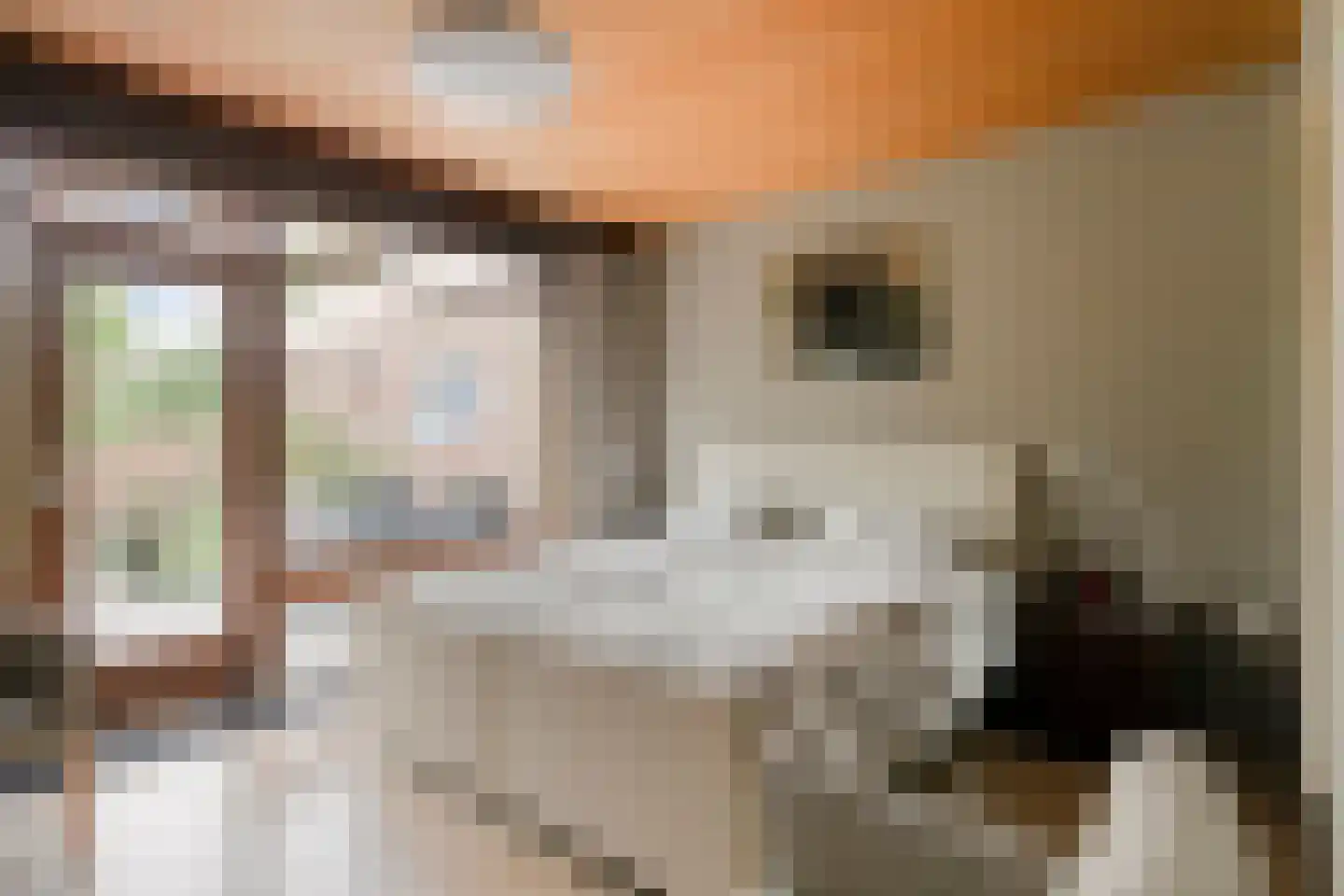 Zeelandlaan 15 Son en Breugel thumbnail 21