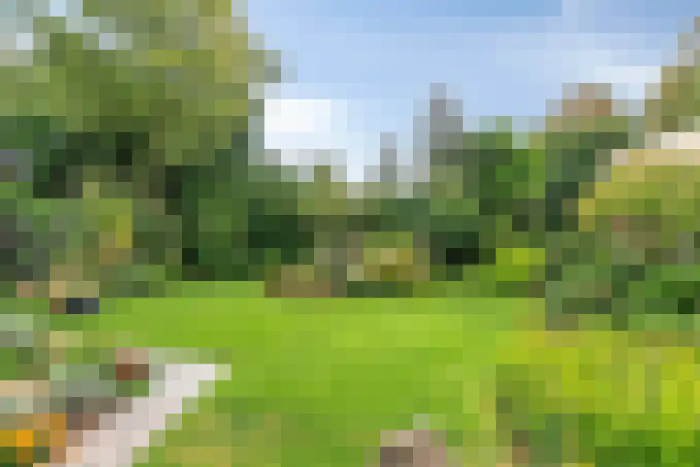 Zeelandlaan 15 Son en Breugel thumbnail 30