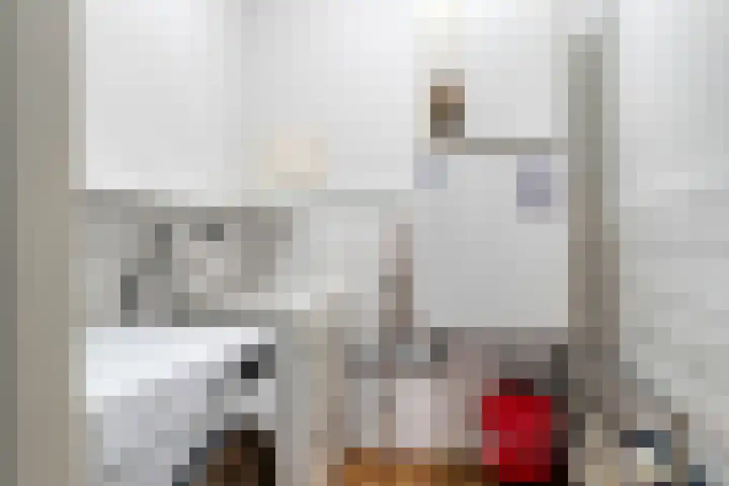 Zeelandlaan 15 Son en Breugel thumbnail 7