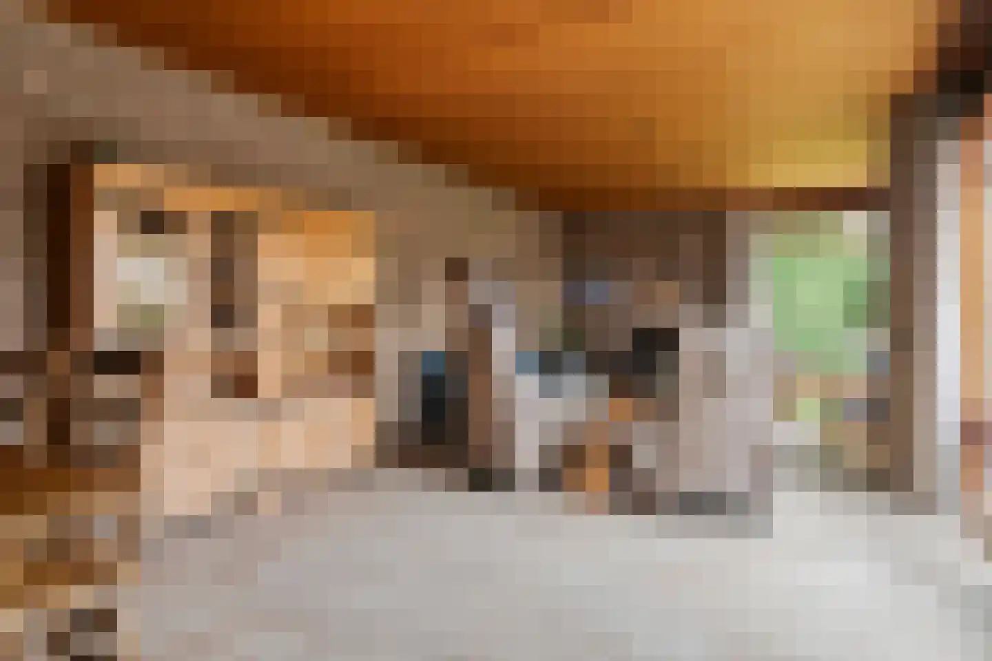 Zeelandlaan 15 Son en Breugel thumbnail 8