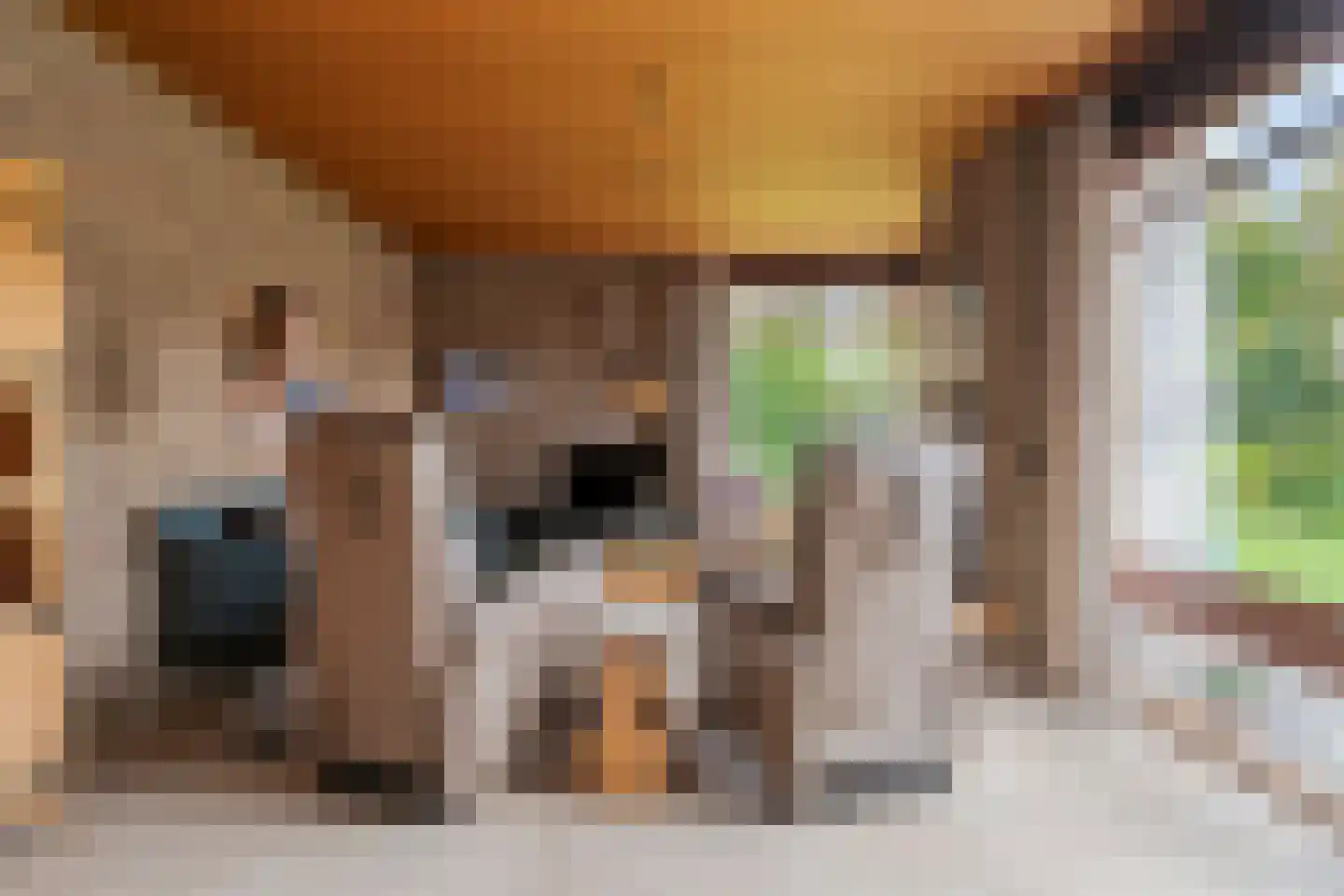 Zeelandlaan 15 Son en Breugel thumbnail 9