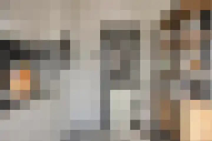 Zeelandlaan 4 Lage Zwaluwe thumbnail 10