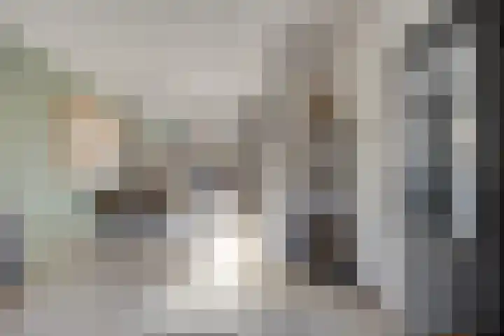 Zeelandlaan 4 Lage Zwaluwe thumbnail 11