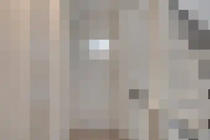 Zeelandlaan 4 Lage Zwaluwe thumbnail 13