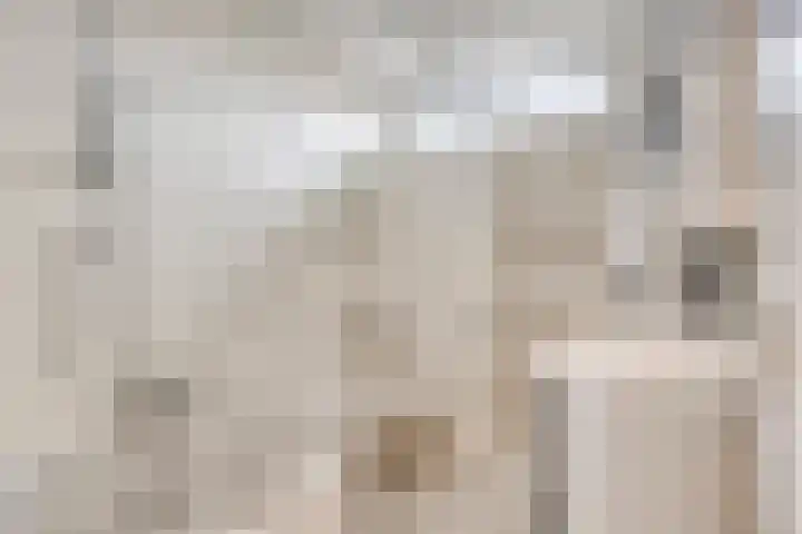 Zeelandlaan 4 Lage Zwaluwe thumbnail 20