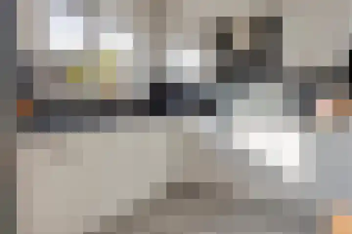 Zeelandlaan 4 Lage Zwaluwe foto 3