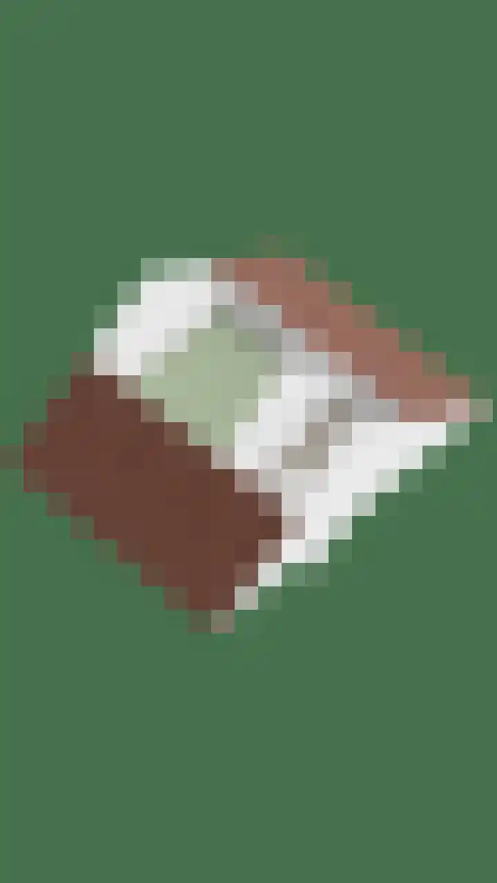 Zeelandlaan 4 Lage Zwaluwe thumbnail 39
