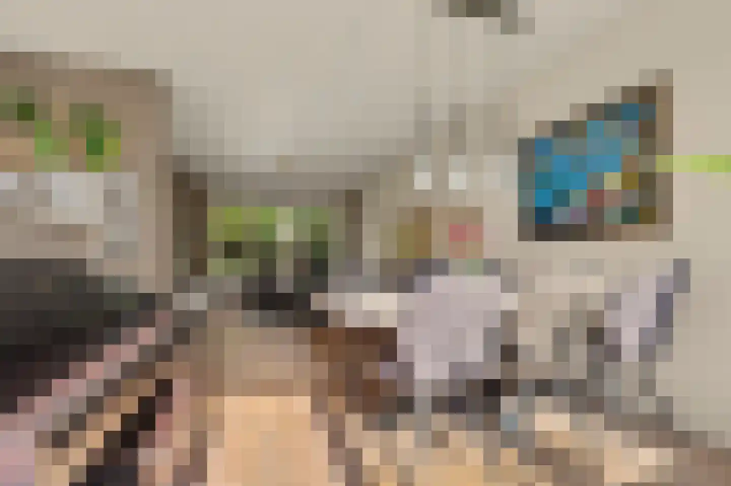 Zeelandlaan 6 Lage Zwaluwe thumbnail 13