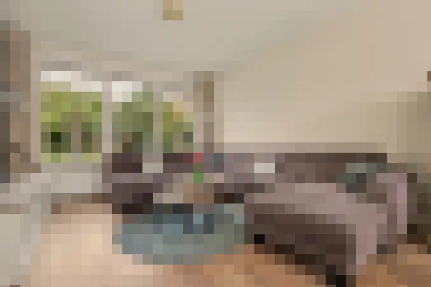 Zeelandlaan 6 Lage Zwaluwe thumbnail 8