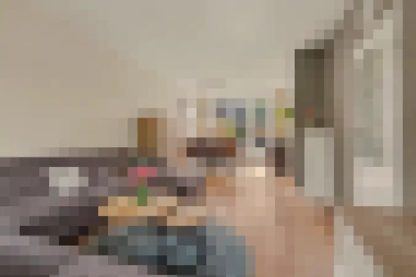 Zeelandlaan 6 Lage Zwaluwe thumbnail 9