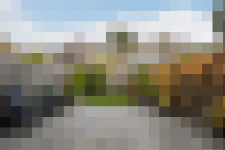 Zeelandlaan 60 Vlaardingen thumbnail 4