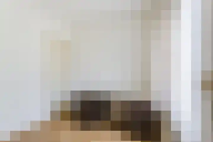 Zeelandsedijk 10 Elsendorp thumbnail 17