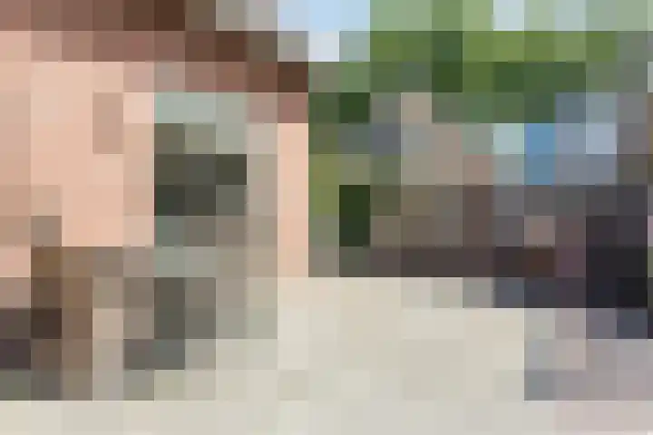 Zeelandsedijk 10 Elsendorp thumbnail 31