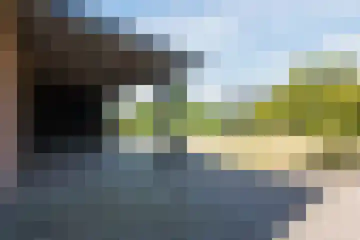 Zeelandsedijk 10 Elsendorp thumbnail 32