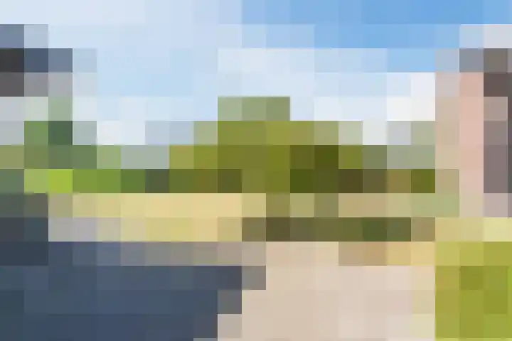 Zeelandsedijk 10 Elsendorp thumbnail 33