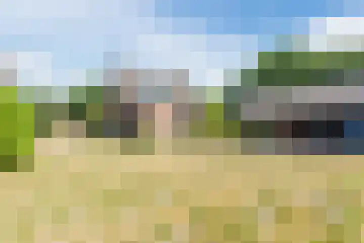 Zeelandsedijk 10 Elsendorp thumbnail 37