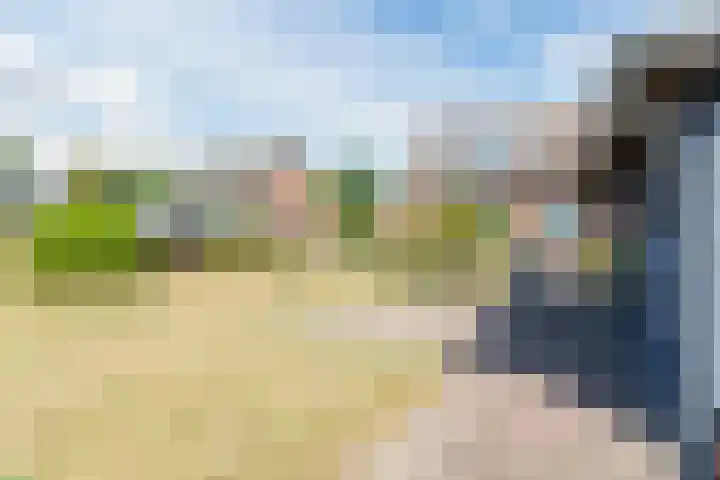 Zeelandsedijk 10 Elsendorp thumbnail 38
