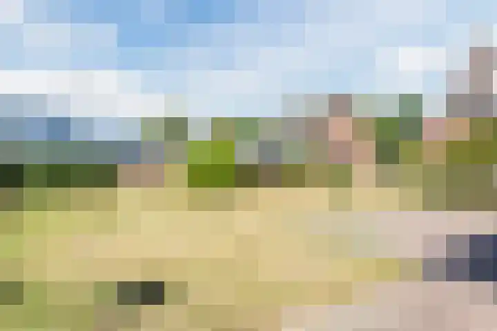 Zeelandsedijk 10 Elsendorp thumbnail 39